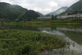 雨天野钓鱼的技巧（在雨天中钓鱼）