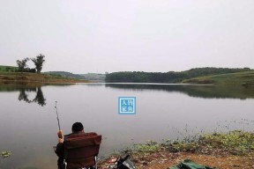 山东龙湖野钓鱼技巧（掌握龙湖野钓鱼的窍门）