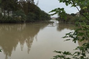 阴天钓鱼技巧指南（掌握钓鱼技巧）