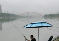 夏天下雨突然降温好钓鱼技巧（应对降温天气提升钓鱼成功率）