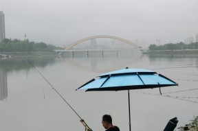 夏天下雨突然降温好钓鱼技巧（应对降温天气提升钓鱼成功率）