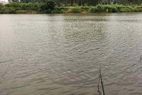 雷雨大风下的钓鱼技巧（钓鱼技巧教程分享）