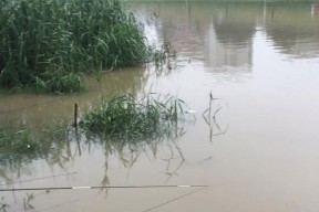 秋雨纷飞下的野钓技巧（湖畔乐趣无穷）