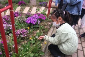 暮春初夏野钓技巧（探秘钓鱼宝典）