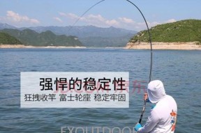 钓鱼定位漂浮的技巧与要领（掌握钓鱼漂浮技巧，助您高效捕获大鱼）