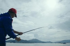 夏季草鱼塘口钓鱼技巧（夏季草鱼塘口钓鱼的绝佳技巧）