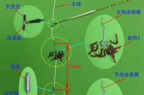 新手海杆钓鱼技巧教程（从零开始成为海钓高手）