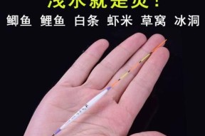 虾米钓鱼绝密技巧（探秘钓鱼达人分享的虾米钓法）