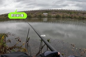 冬季雨后小溪钓鱼技巧（寻找好位置）