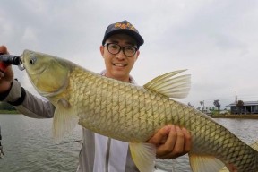 夏季草边钓鱼的技巧（掌握这些关键技巧）