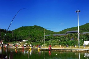 休闲手竿钓鱼技巧教学（轻松掌握钓鱼技巧）