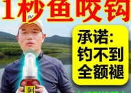 秋季黑坑钓鱼技巧与方法（探秘青鱼草鱼的捕获技巧）