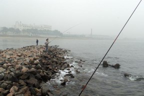 岸滩钓鲤鱼技巧（掌握岸滩钓鲤鱼的窍门，提高钓鱼成功率）