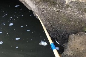 雨天钓鱼技巧（河边野钓鱼的关键技巧）