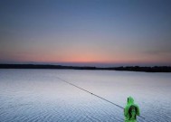 夏天南方水库野钓技巧（掌握南方水库野钓的技巧）