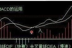 钓鱼线出货技巧（提高钓鱼线出货效率的实用技巧）