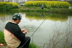 黄河河道钓鱼技巧大揭秘（掌握黄河钓鱼技巧）