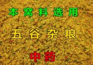 窝料的制作与应用技巧——以野钓鲫鱼为例（提高野钓鲫鱼成功率的窍门与经验分享）