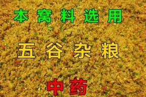 窝料的制作与应用技巧——以野钓鲫鱼为例（提高野钓鲫鱼成功率的窍门与经验分享）