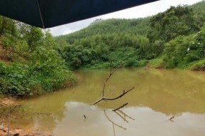 夏日钓鲤鱼的绝佳技巧（夏天野塘大鲤钓不可错过的窍门）