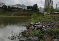 秋雨中的钓鱼乐趣（以秋季下雨钓鱼技巧）