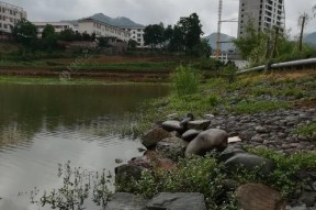 秋雨中的钓鱼乐趣（以秋季下雨钓鱼技巧）