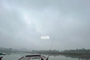 雨后大河钓鱼技巧（技巧与策略）