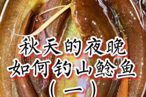 夜钓钓鲶鱼的最佳方法和技巧（夜钓的宝贵经验与实用技术分享）