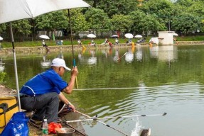 湄潭杨家坪水库钓鱼技巧（选位与技巧一网打尽）