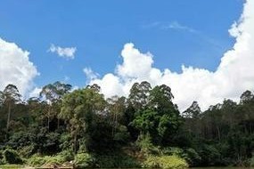 雨后灌河涨水钓鱼技巧（利用涨水时机）