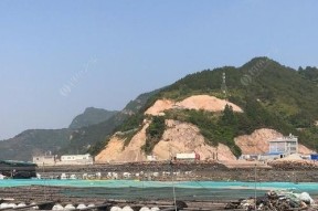 海里鱼排钓鱼技巧（掌握技巧钓鱼更轻松）