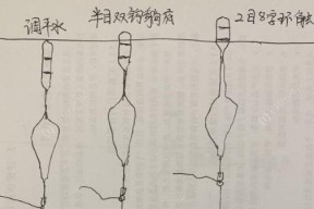 掌握抛竿钓鱼调平水技巧的秘诀（提升钓鱼水平，享受钓鱼乐趣）