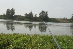 雨天钓鱼的技巧与方法（掌握钓鱼技巧）