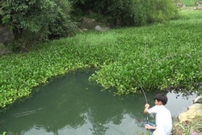 水道洞口钓鱼技巧（掌握技巧）