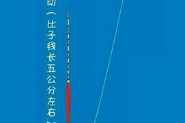 江河垂钓调漂技巧大揭秘（掌握江河垂钓调漂技巧）