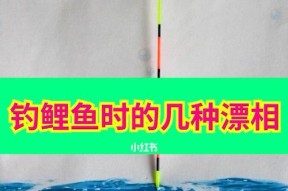 钓鱼技巧浮漂调整方法（提升钓鱼成功率的关键技巧）