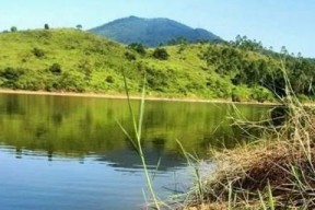 夏天上午野钓技巧（夏季上午钓鱼的技巧与要点）