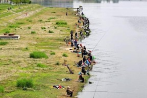 三本先生的初夏钓鱼技巧（传统技艺在湖畔闲钓的妙用）