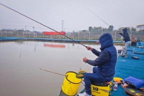 冬季鱼塘钓鱼技巧大揭秘（挑战冰天雪地，享受成功钓鱼的四个要点）