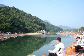 杭州市区河道钓鱼技巧（探寻杭州市区河道钓鱼的技巧）