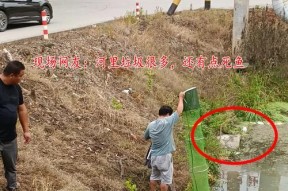 河道涵洞钓鱼技巧（探秘河道涵洞钓鱼的捕鱼秘籍）