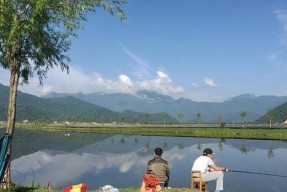 水塘钓鱼选位技巧（从水质到植被）