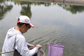 寒露过后雨天钓鱼的技巧（钓鱼技巧大揭秘）