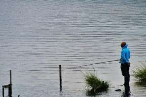 雨天河涨水钓鱼的技巧（钓鱼技巧分析及实战指南）