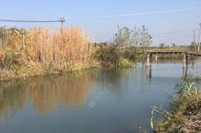 夏天野河钓鱼技巧与方法（掌握夏季河钓技巧）