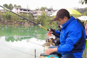 掌握鱼饵搭配技巧，提升钓鱼效果（学会正确选择和使用鱼饵，成为高级钓鱼人）