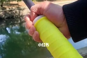 稀奇古怪的钓鱼技巧（探索奇异的渔获世界）