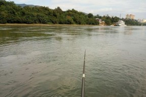 夏天野钓小河沟的技巧和方法（享受夏日流水悠然时光）