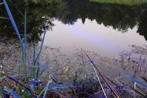 夏雨季节下的钓鱼技巧（梅雨季节中的钓鱼经验与技巧）