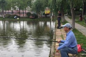 秋季下雨钓鱼技巧与方法（雨天钓鱼）